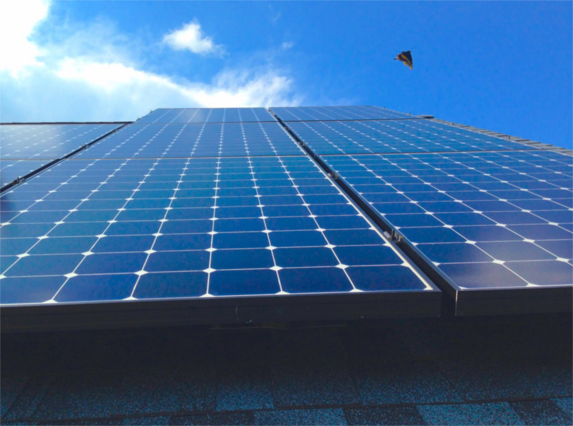 butterflySolar image butterflySolar Why Buy Solar early in 2019