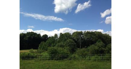 ballstonspatrees Ballston Spa